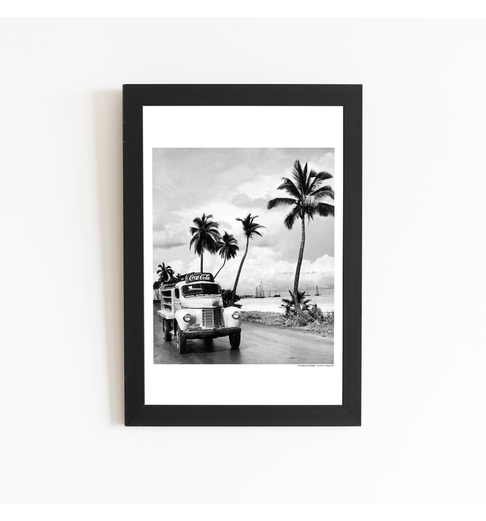 Coca-Cola Palm Tree Art Print Poster